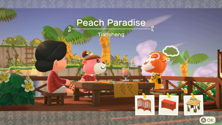 Tiansheng Theme Name and Required Furniture