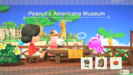 Peanut Theme Name and Required Furniture