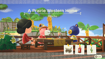 Poncho Theme Name and Required Furniture