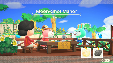 Sasha Theme Name and Required Furniture