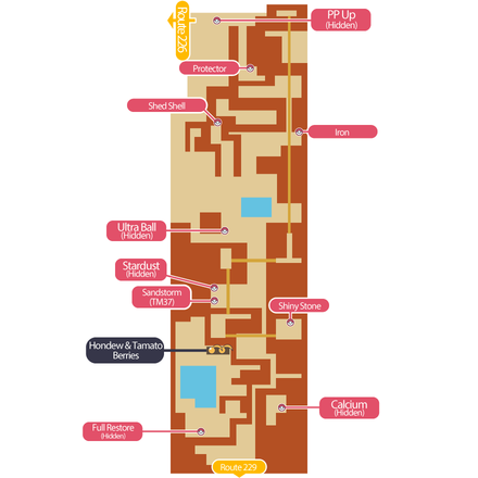 Route 228 Pokemon BDSP
