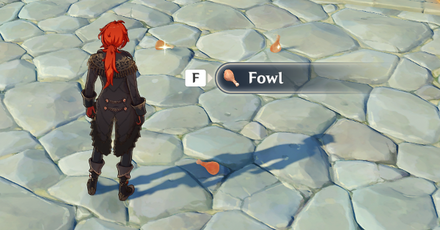 Genshin - Fowl - Get by Hunting Birds
