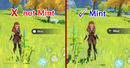 Genshin - False Mint and Real Mint