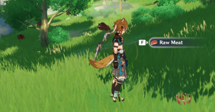 Genshin - Raw Meat - Hunt Boars