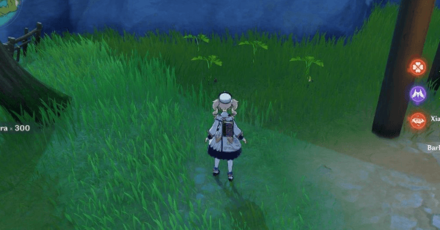 Genshin - Radishes in Stone Gate