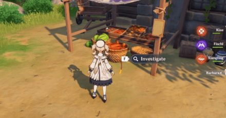 Genshin - Get Radish from Investigation Areas