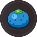 Oran Berry Image