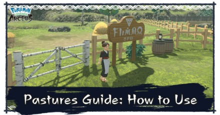 Legends Arceus Pastures Guide