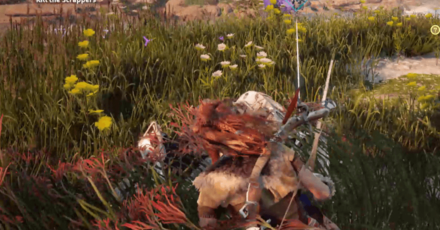 Horizon Zero Dawn - The Forgotten - Throw Rocks.png