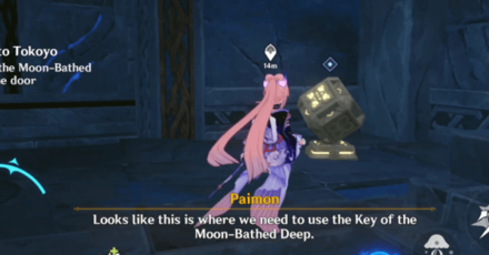 Genshin Impact The Entrance to Tokoyo Walkthrough - Investigate the Hidden Path