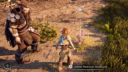 Horizon Zero Dawn - Gather Medicinal Herbs