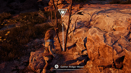 Horizon Zero Dawn - Gather Ridge-Wood for Hunter Arrows