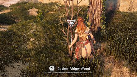 Horizon Zero Dawn - Gather Ridge-Wood for Fire Arrows