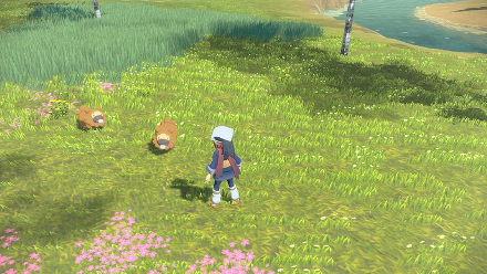 Akari and Bidoof.png