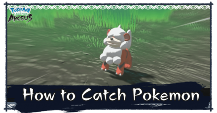 How to Catch Pokemon.png