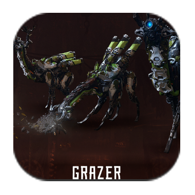 Grazer Image