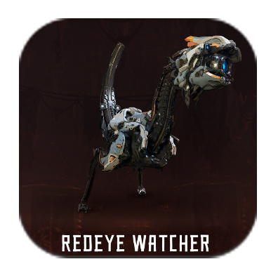 Redeye Watcher Image