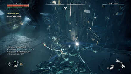 Horizon Zero Dawn - RHO - Climb Wall.jpg