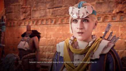 Collectables Merchant HZD