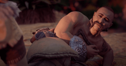 Horizon Zero Dawn - Death from the Skies - Talk to Hakurt.png