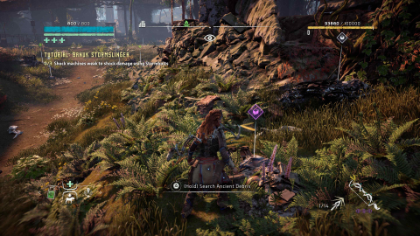 USRC Ancient Vessel Horizon Zero Dawn In-world