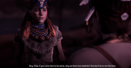 Horizon Zero Dawn - Sun and Shadow - Ask Elida about the Beds.png