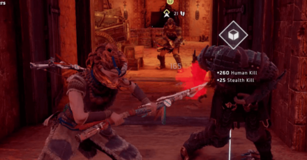 Horizon Zero Dawn - Sun and Shadow - Silent Striek.png