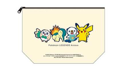 Pokemon Legends Arceus Pouch