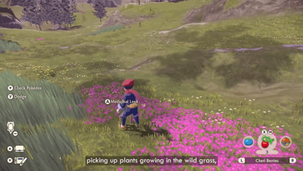Pokemon Legends Arceus - Pick Up Plants in the Wild Grass