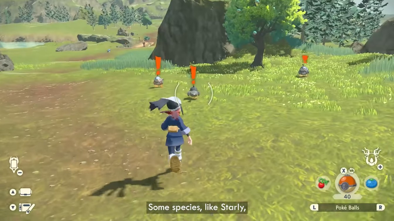 Pokemon Legends Arceus Wild Pokemon