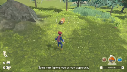 Pokemon Legends Arceus Bidoof Ignores Player