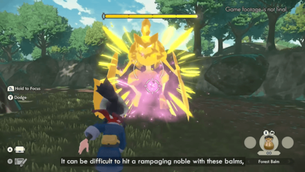 PLA Frenzied Pokemon Balms