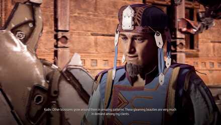 Flower Collectibles Merchant Horizon Zero Dawn