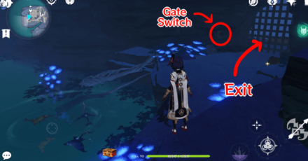 Genshin - Enkanomiya Fishing Spot - Fishing Spot 2 and Exit