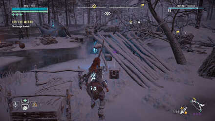 Horizon Zero Dawn - Warrior