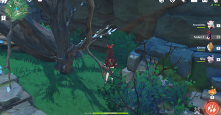 Genshin - Remarkable Chest - 21