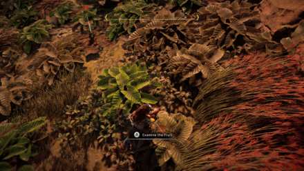 Horizon Zero Dawn - Follow the Tracks