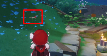 Genshin - Sunset Loach Location - Watatsumi Island