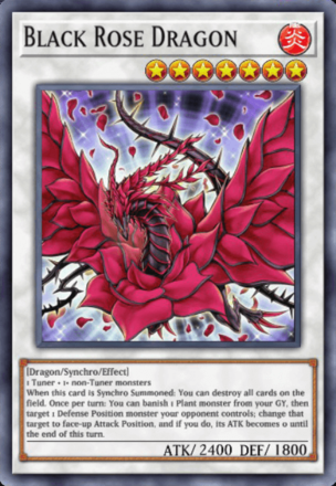 Black Rose Dragon