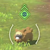 Catch Difficulty Easy