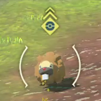 Catch Difficulty Medium