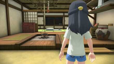 Sleeping Quarters Pokemon Legends Arceus