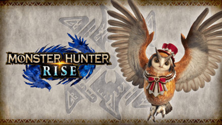 MH Rise - Update 3.8 Pretty Present Cohoot Outfit
