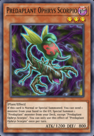 Predaplant Ophrys Scorpio