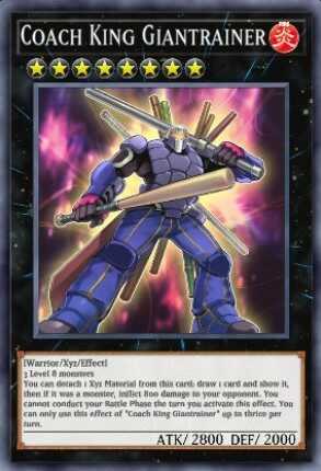 Coach King Giantrainer