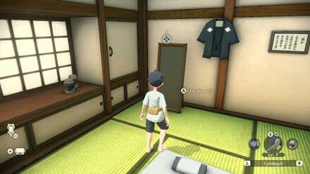 Pokemon Legends Arceus changing outfit