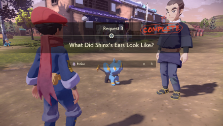 What Did Shinx