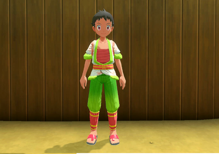 Special Shaymin Clothes