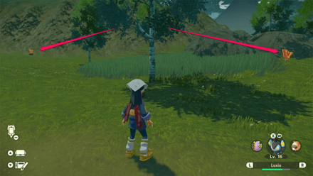 Pokemon Legends Arceus - Tumblestone Overworld Location