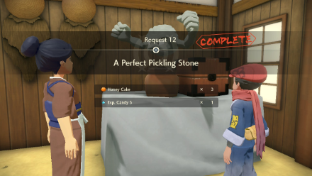 A Perfect Pickling Stone